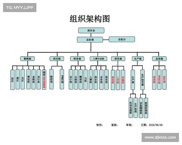 赛事公司组织架构